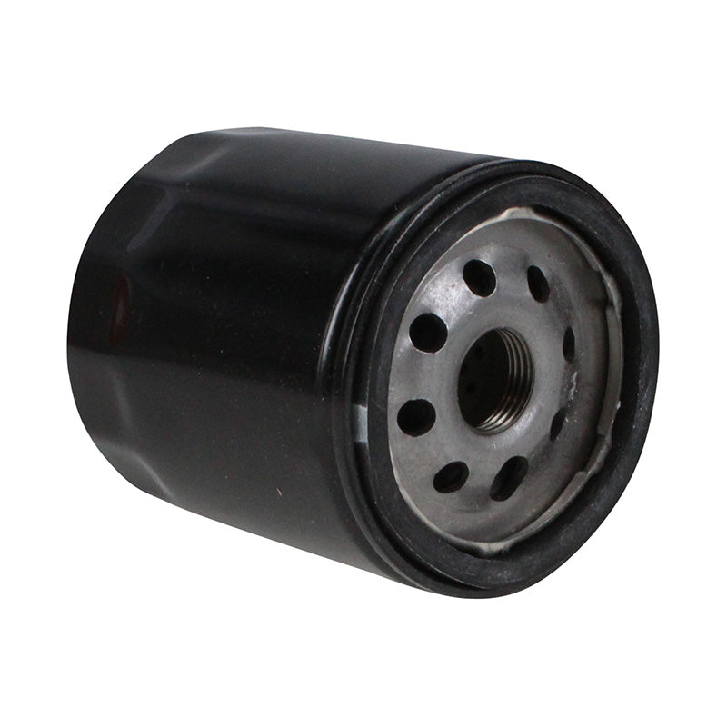 Aftermarket New Engine Oil Filter AM101207 for John Deere Tractor, Lawn And Garden 316, 317, 318, 420, M653, M655, M665, Stx38