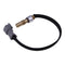 Speed Sensor 87655164 KPPG16719 Compatible with New Holland Forage Equipment FR9090 FR850 A2 FR9040 FR600 A3 FR9050 FR9060 FR700 A3 FR9080